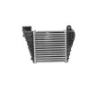 HELLA Sensörlü intercooler — 2002 Audi A3 (4)