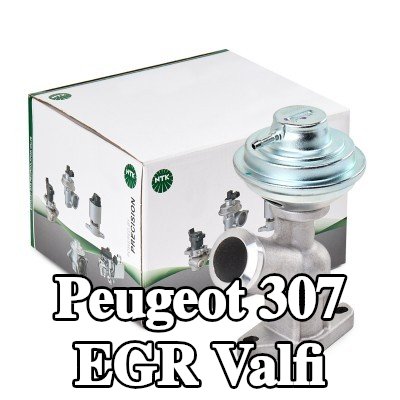 NGK Contalı/sızdırmazlık elemanlı EGR valfi — 2000 Peugeot 307