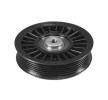 MAGNETI MARELLI Saptırma / Kılavuz Kasnağı, V kayışı — Opel Speedster (3)