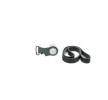 AISIN Zincir seti — 1998 Land Rover Freelander (3)