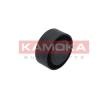 KAMOKA Saptırma / kılavuz kasnağı, V-ribbed belt Outer Diameter: 65mm — 1995 Nissan Elgrand (1)