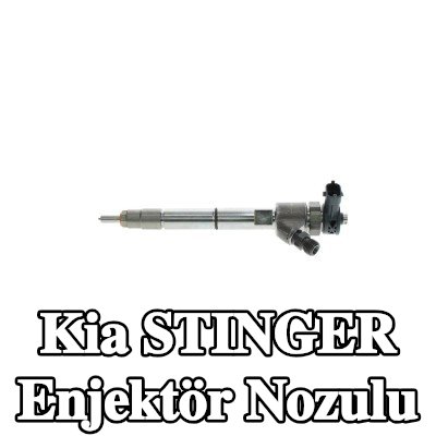 BOSCH Conta halkalı enjektör nozulu — Kia Stinger