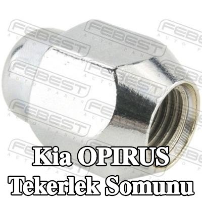 FEBEST Tekerlek Somunu — 2003 Kia Opirus