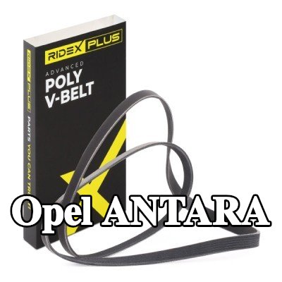 RIDEX PLUS حزام سيربنتين 1840mm, Number of ribs: 6 — Opel Antara
