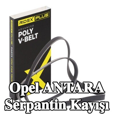 RIDEX PLUS Serpantin kayışı 1840mm, Number of ribs: 6 — Opel Antara