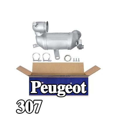 HELLA ما قبل المُحفِّز — Peugeot 307