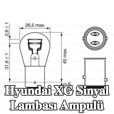BOSCH Sinyal lambası ampulü P21/5W, 12V — Hyundai Xg