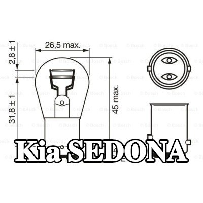 BOSCH لمبة مؤشر P21/5W, 12V — Kia Sedona