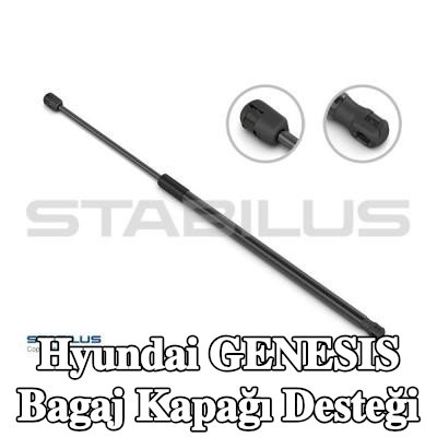 STABILUS Arka kapak destek kolu LIFT-O-MAT, 384mm — Hyundai Genesis