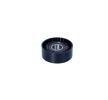 MAXGEAR Saptırma / kılavuz kasnağı, V-ribbed belt Outer Diameter: 60mm — Ford Escort (2)