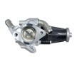 HELLA Contalı/sızdırmazlık elemanlı EGR valfi — Ford Transit (2)