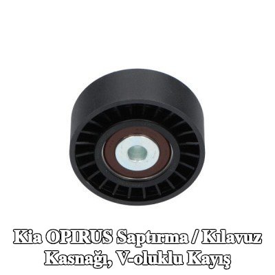 KAVO PARTS Saptırma / kılavuz kasnağı, V-ribbed belt Outer Diameter: 70mm — Kia Opirus