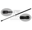 FEBI BILSTEIN Bagaj kapağı amortisörü (Her iki taraf), 682mm — Ford C-max (2)