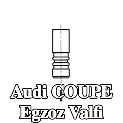 FRECCIA Egzoz valfi — 1990 Audi Coupe