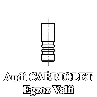 FRECCIA Egzoz valfi — 1991 Audi Cabriolet
