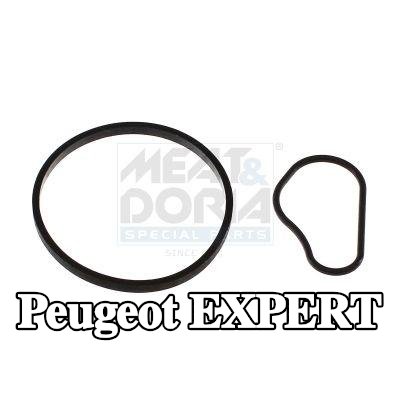 MEAT & DORIA حشية، مضخة تفريغ — Peugeot Expert