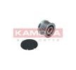 KAMOKA Alternatör debriyaj kasnağı — Chevrolet S10 (1)