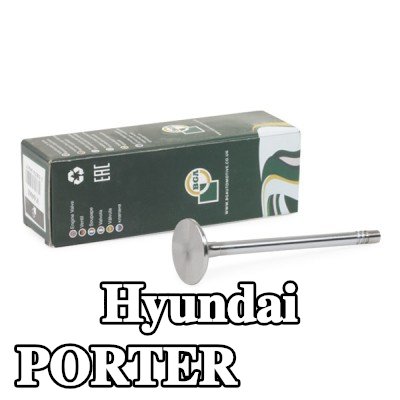 BGA صمام السحب — Hyundai Porter
