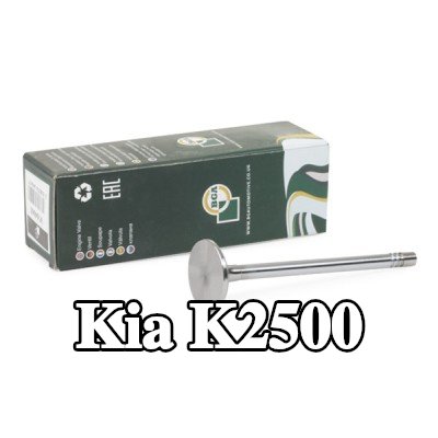 BGA صمام السحب — Kia K2500