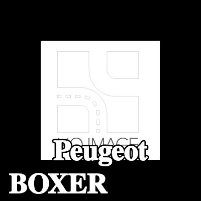 CITROEN/PEUGEOT قضيب الوقود — Peugeot Boxer