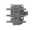RIDEX Ateşleme bobini 12V — 2008 Volkswagen Routan (5)