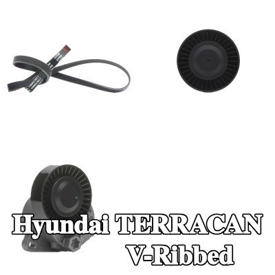 RIDEX مجموعة أحزمة V-Ribbed — Hyundai Terracan
