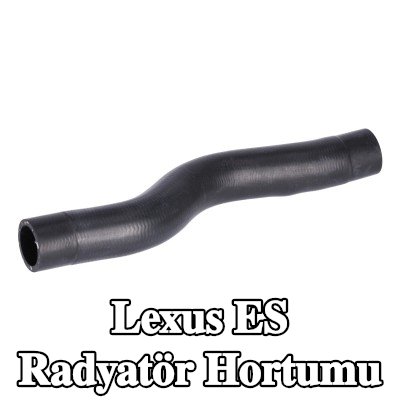 FEBI BILSTEIN Radyatör hortumu Üst — Lexus Es