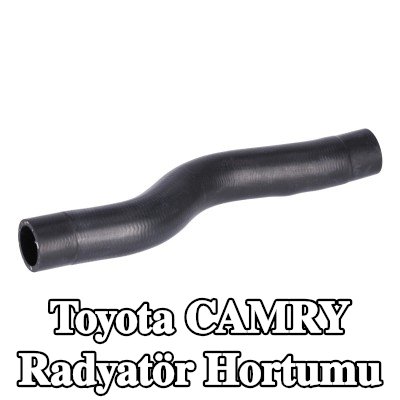 FEBI BILSTEIN Radyatör hortumu Üst — Toyota Camry