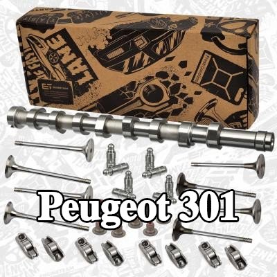 ET ENGINETEAM طقم عمود الكامات مع الصمامات — Peugeot 301