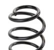 SACHS Helezon yay — SEAT Cordoba (3)