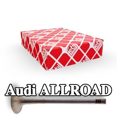 FEBI BILSTEIN صمام العادم — Audi Allroad