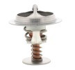 MOTORAD Termostat 77°C, 56mm, 29mm, contalı/sızdırmaz — Mitsubishi Delica / Space Gear (3)