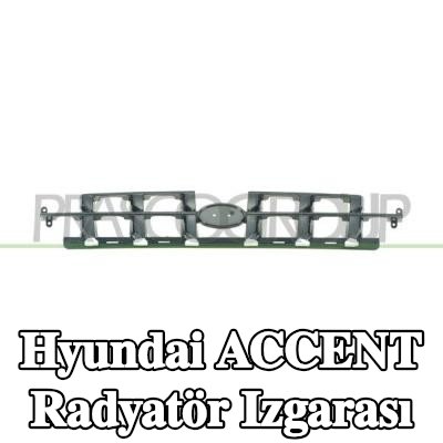 PRASCO Ön radyatör ızgarası — 1999 Hyundai Accent