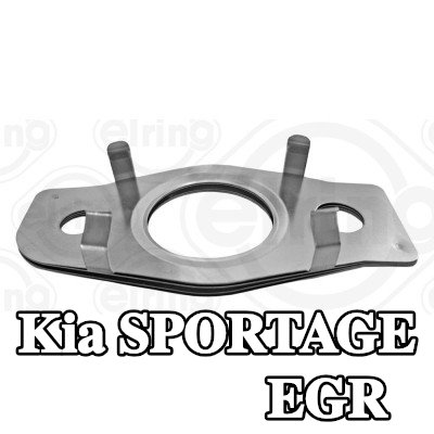 ELRING حشية أنبوب صمام EGR — Kia Sportage