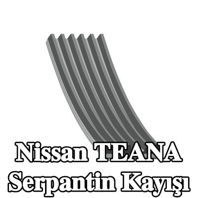 FEBI BILSTEIN Serpantin kayışı 1432mm, Number of ribs: 6 — Nissan Teana
