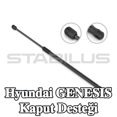 STABILUS Kaput destek çubuğu LIFT-O-MAT — Hyundai Genesis