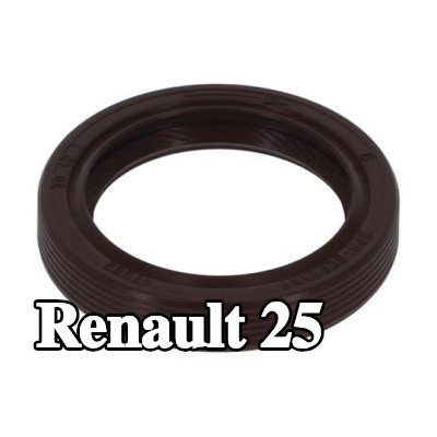 PAYEN حشية العمود، العمود الوسيط — Renault 25