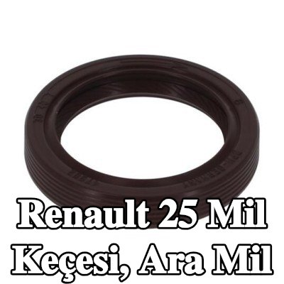 PAYEN Mil Keçesi, ara mil — Renault 25