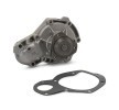 RIDEX Su pompası — Renault 25 (2)