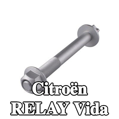 TEDGUM Vida — Citroën Relay