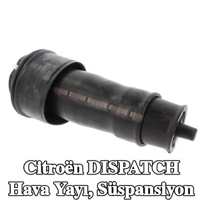 CORTECO Hava Yayı, süspansiyon Arka aks — 2006 Citroën Dispatch