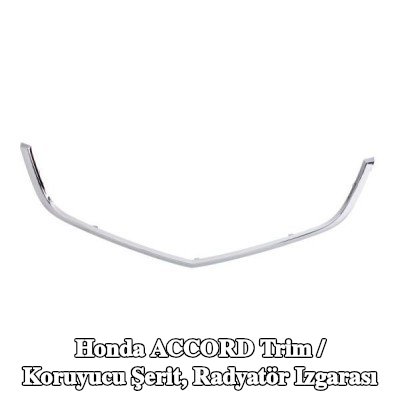BLIC Trim / Koruyucu Şerit, radyatör ızgarası — 2002 Honda Accord