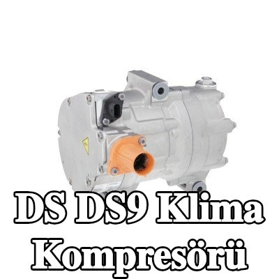VALEO PAG kompresör yağı içeren klima kompresörü — 2020 DS Ds9