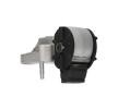 KAVO PARTS Motor yatağı Sağ — Toyota Paseo (2)