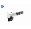 ACKOJA VVT solenoidi conta halkalı — 2012 Lexus Is (6)