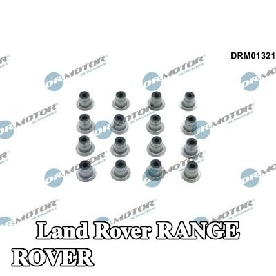 DR.MOTOR AUTOMOTIVE مجموعة سدادات صمامات الصمامات — 2016 Land Rover Range Rover
