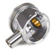 IPSA Piston segmanlı piston, piston segman taşıyıcısı ile — Mitsubishi Lancer (3)