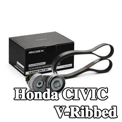 RIDEX مجموعة أحزمة V-Ribbed — 2002 Honda Civic