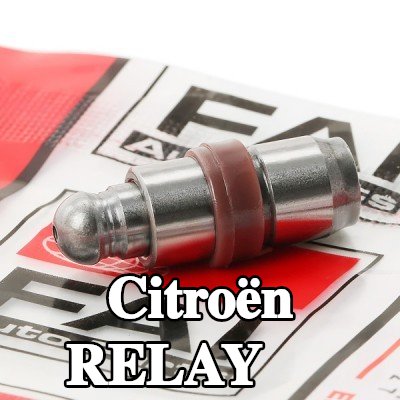 FAI AutoParts صمام — Citroën Relay