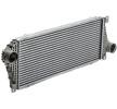 MAHLE Intercooler — Volkswagen Lt (7)